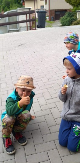 IMG 20190531 111247