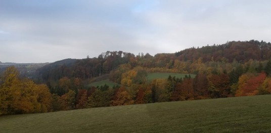 IMG 20191018 104740