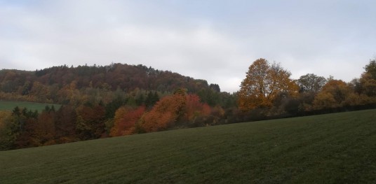 IMG 20191018 104801