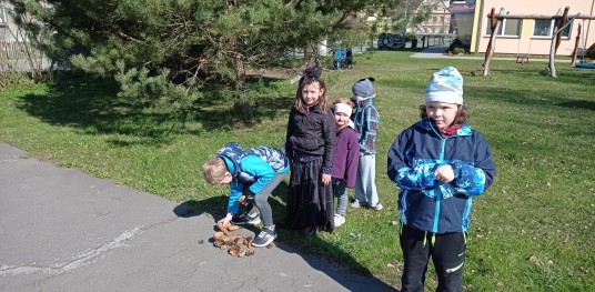 IMG 20210430 094420