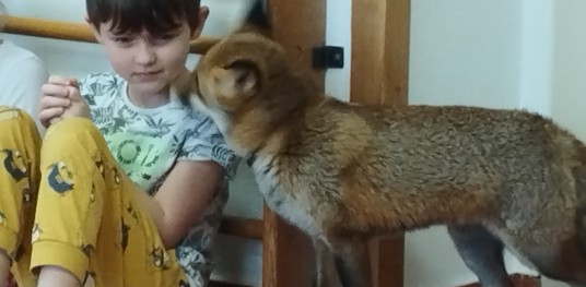 IMG 20230125 113452