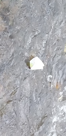 20231110 095453